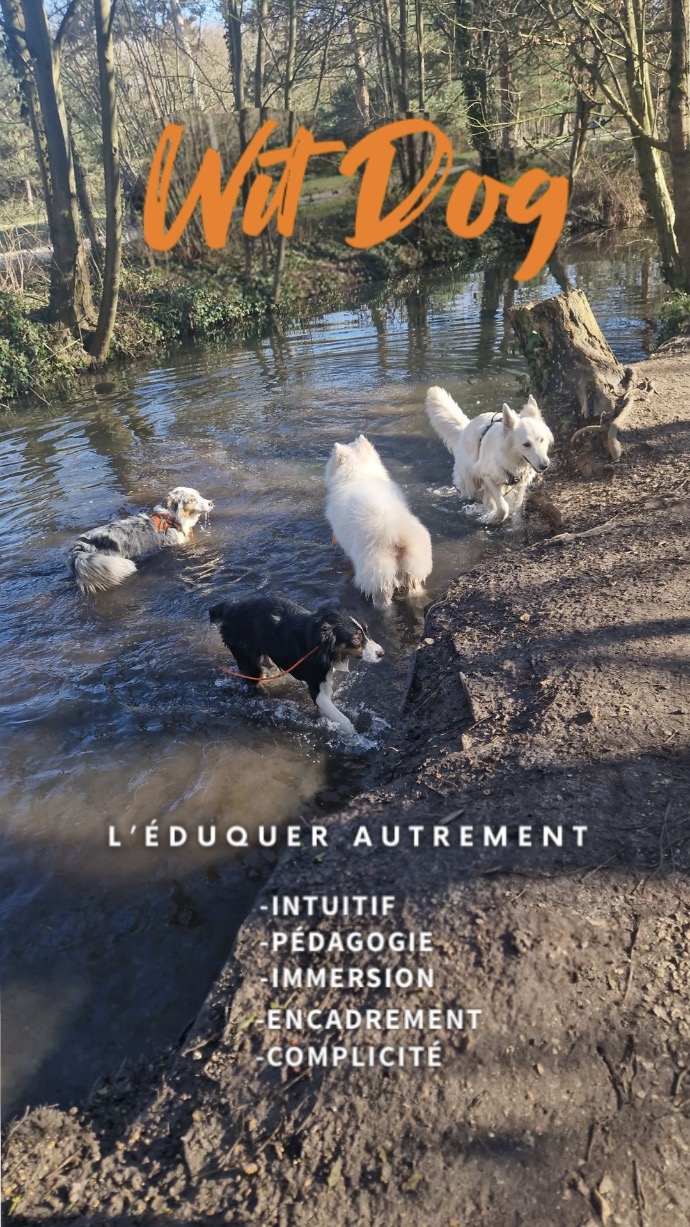 Daphnée Dunoguies, éducatrice et comportementaliste canin