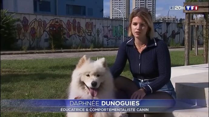 Daphnée Dunoguies et son chien au 20H de TF1